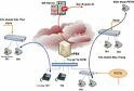 Tổng đài IP PBX Asterisk 01, 1 trung kế, 1 thuê bao Analog.